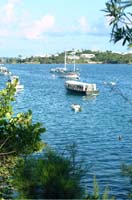 Bermuda - 47