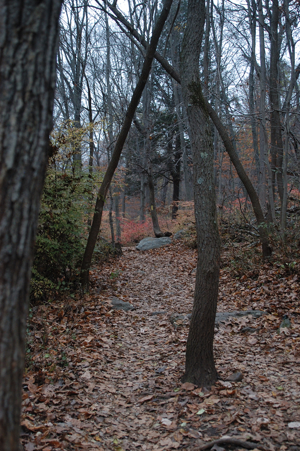 NH_Bartrc_Lake M_003