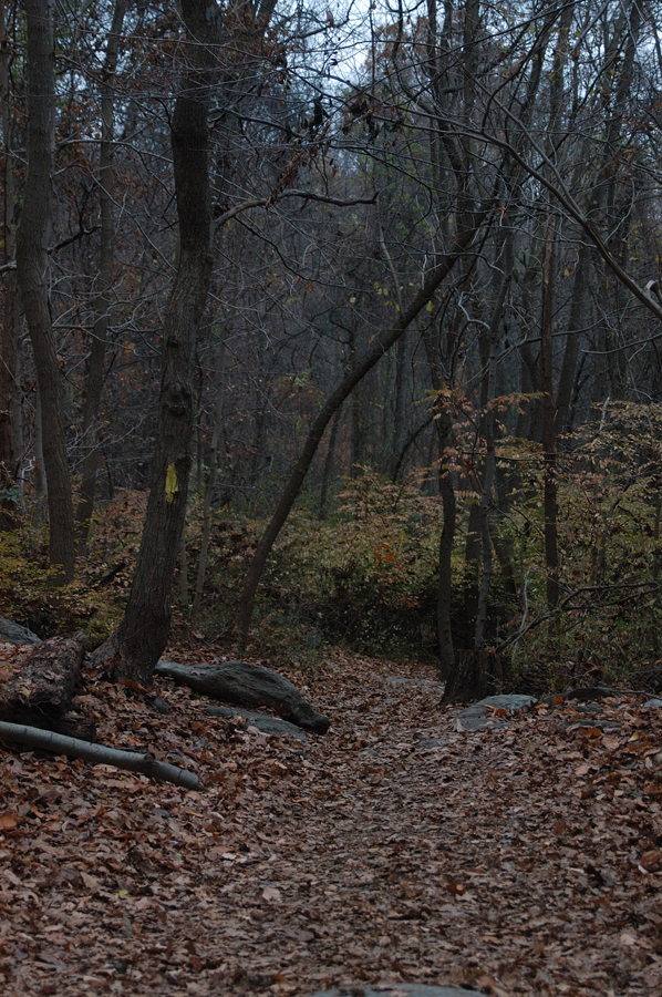 NH_Bartrc_Lake M_005