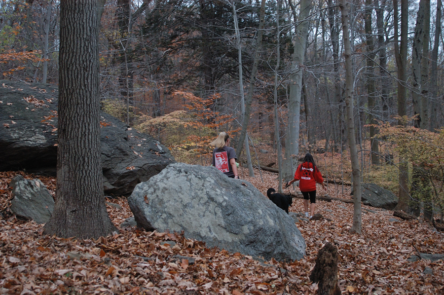 NH_Bartrc_Lake M_010