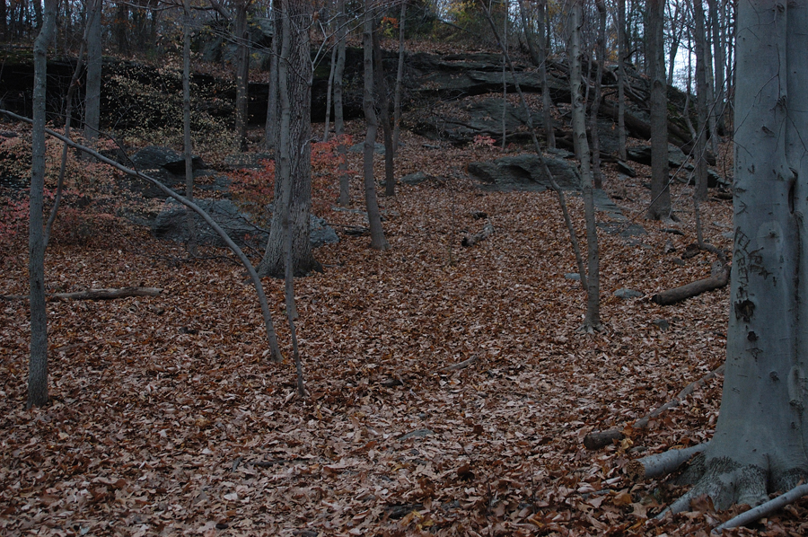 NH_Bartrc_Lake M_013