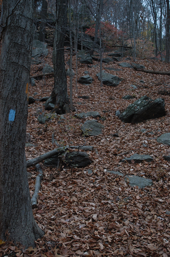 NH_Bartrc_Lake M_015