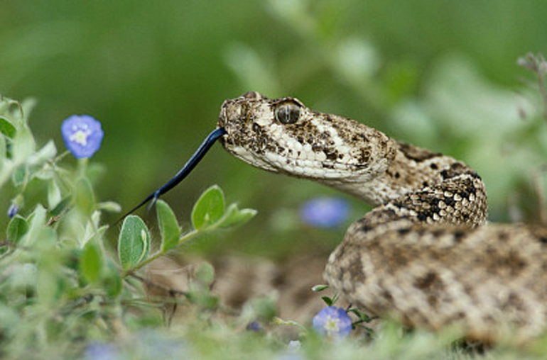 MediaBakery_PDI0073800