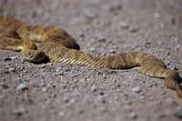 MediaBakery_CRB0061808