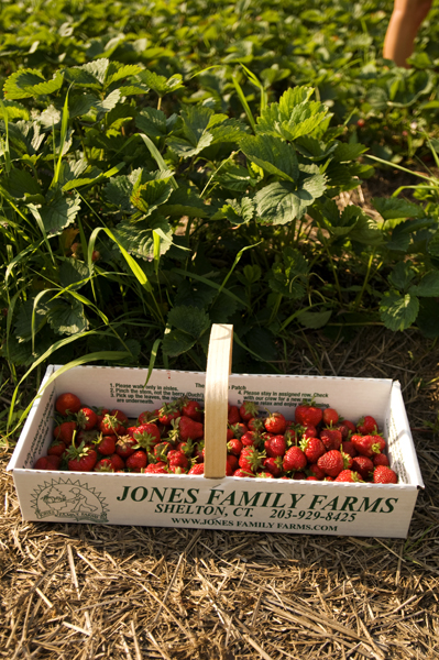 berrypick_strwberrybox