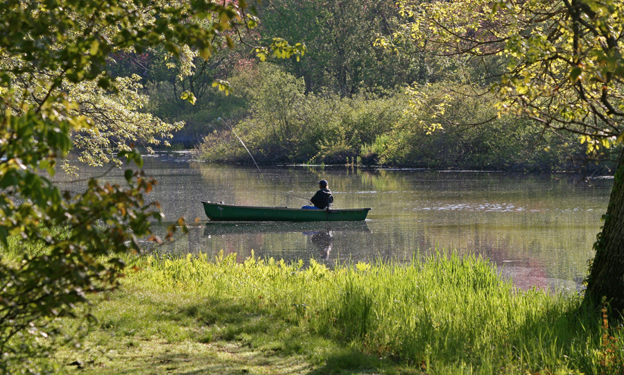 Fishing on the Charles