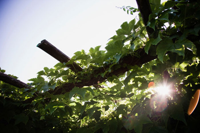 MediaBakery_PDI0259943