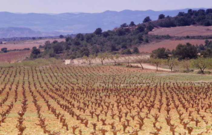 MediaBakery_PDI0234656