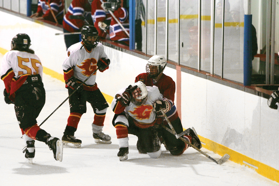 fitandhealth_HShockey2