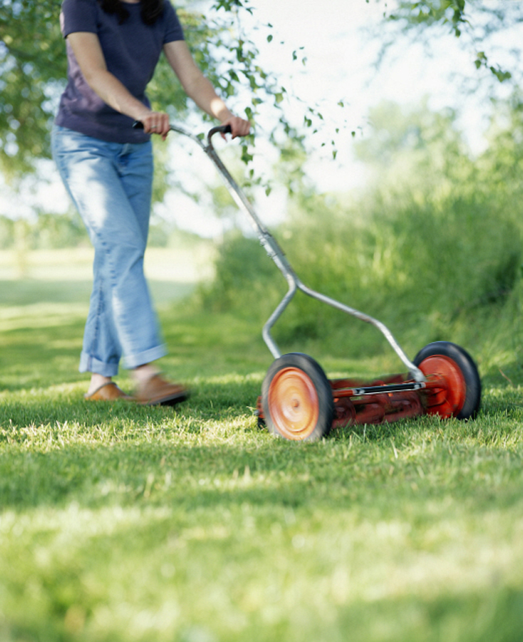 MediaBakery_BXP0010334