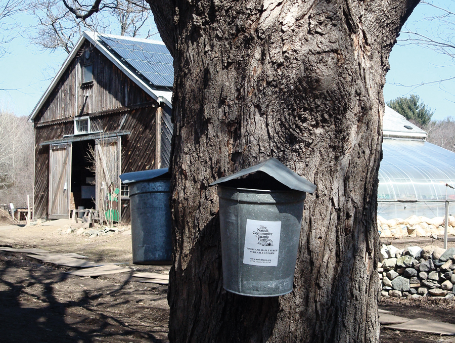 foodandwine_dsc02634-4