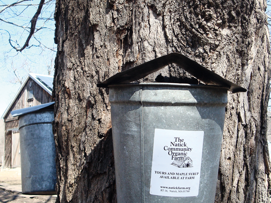 foodandwine_ncof horz#32829