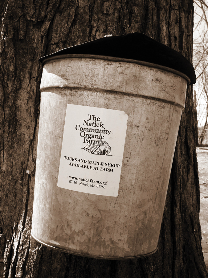 foodandwine_ncof sap #32834