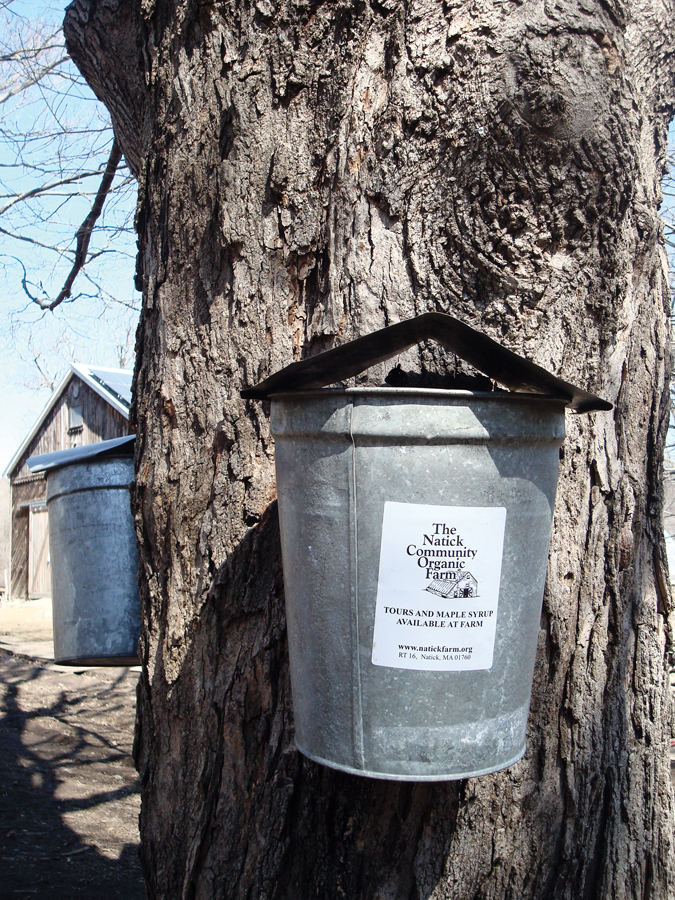 foodandwine_ncof vert#32836