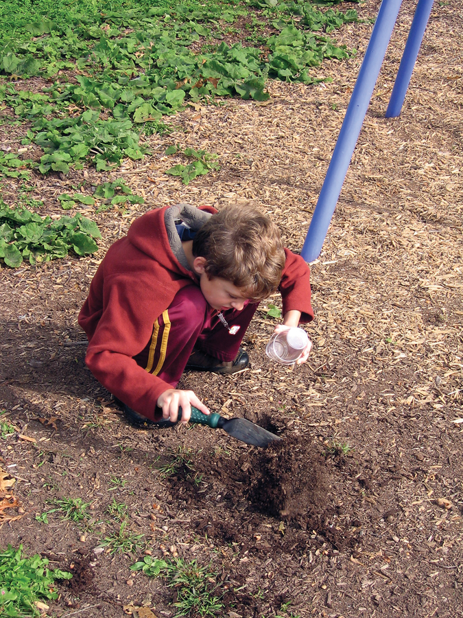 edu_hardy (mcnamara) (2)