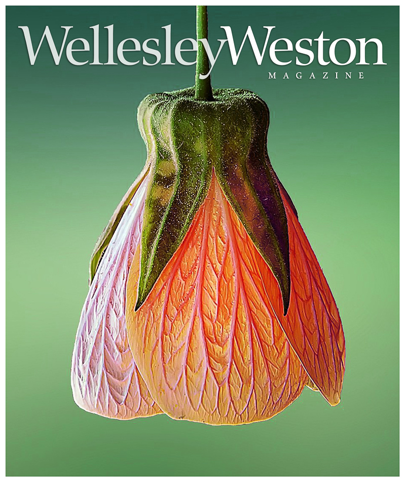 wwm.cvr_spr2021 drop