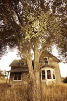 MediaBakery_THK0021128