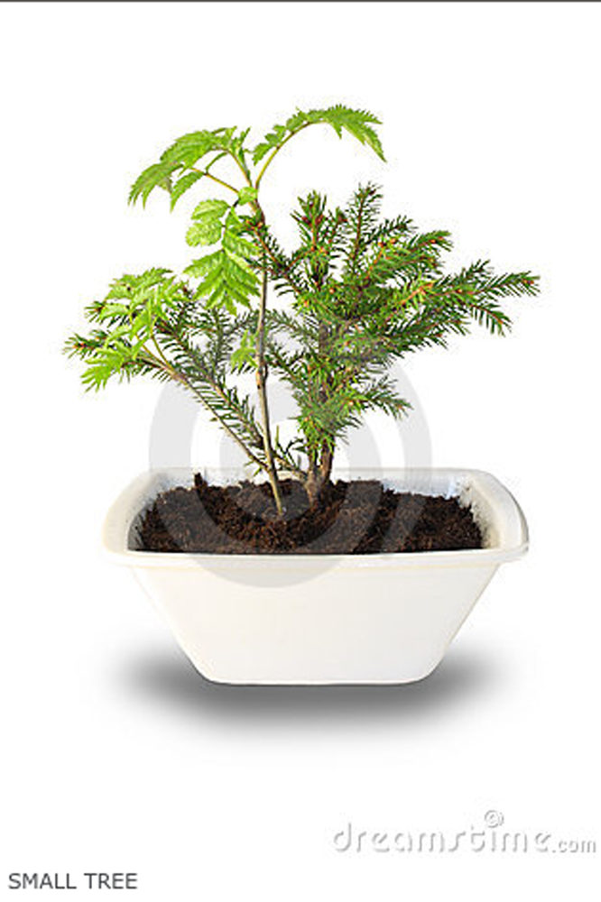 Screen shot 2010-10-1#C5753