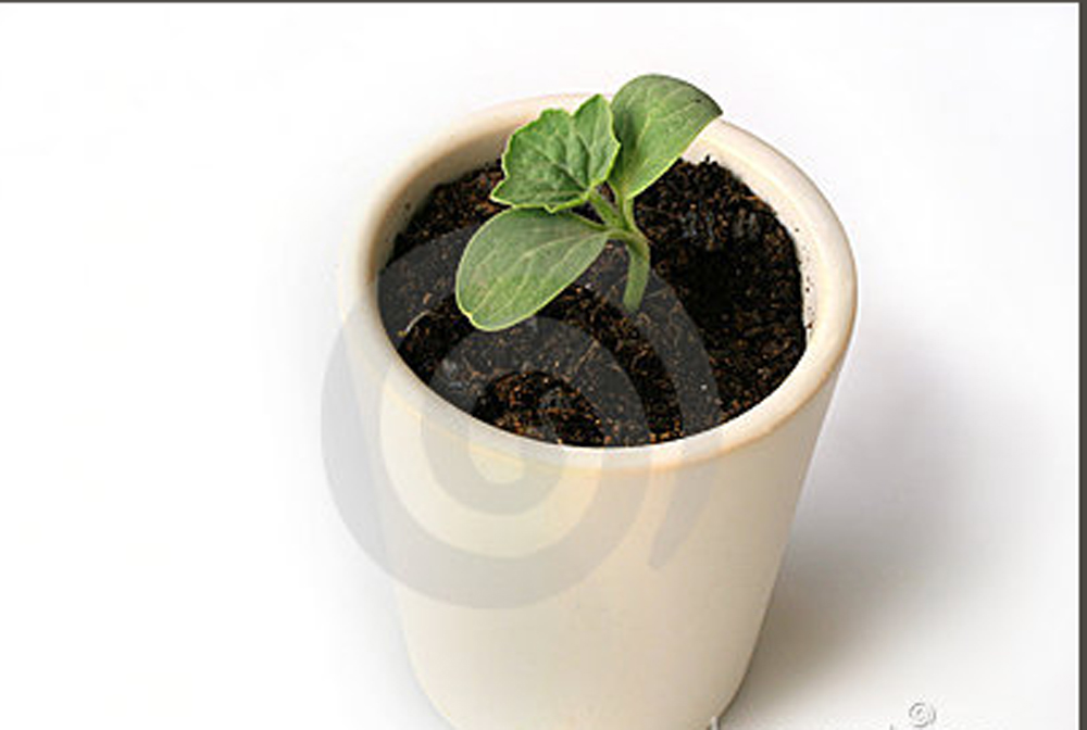 Screen shot 2010-10-1#C5754