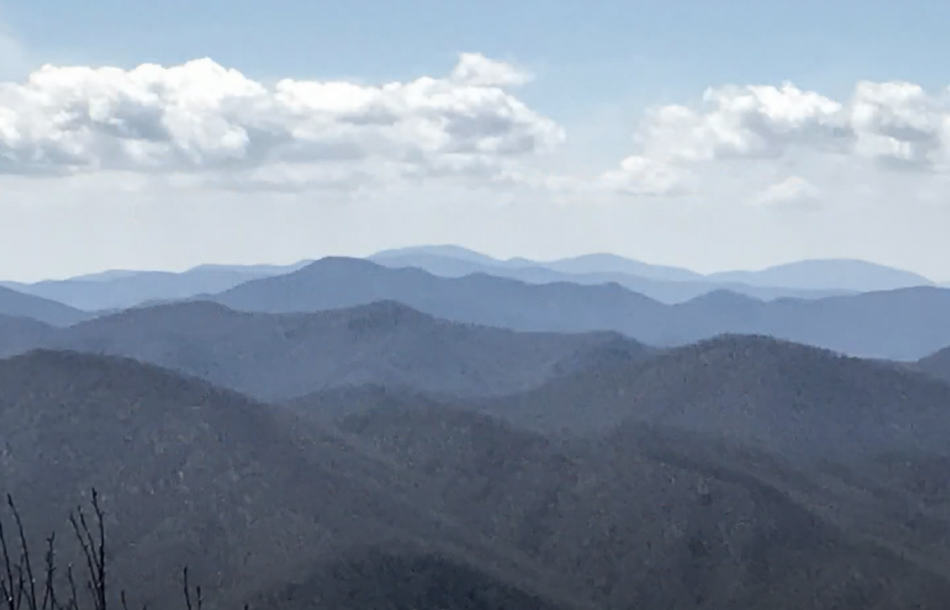 Screen Shot 2021-03-14 at 3.35.41 PM