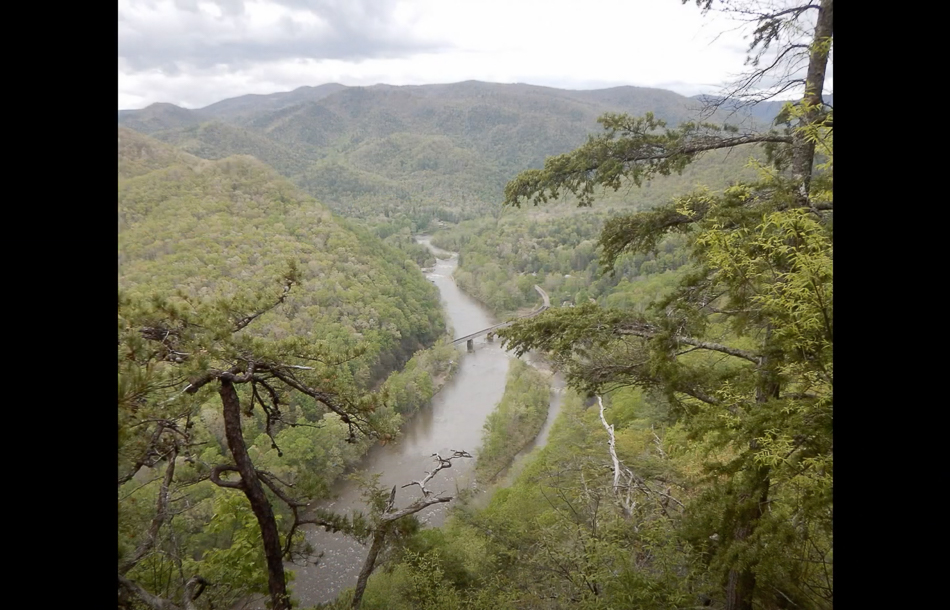 Screen Shot 2021-03-14 at 3.38.25 PM