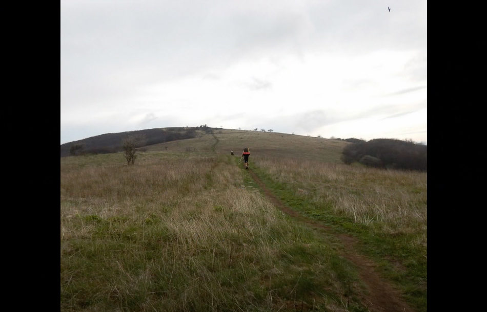 Screen Shot 2021-03-14 at 3.39.01 PM