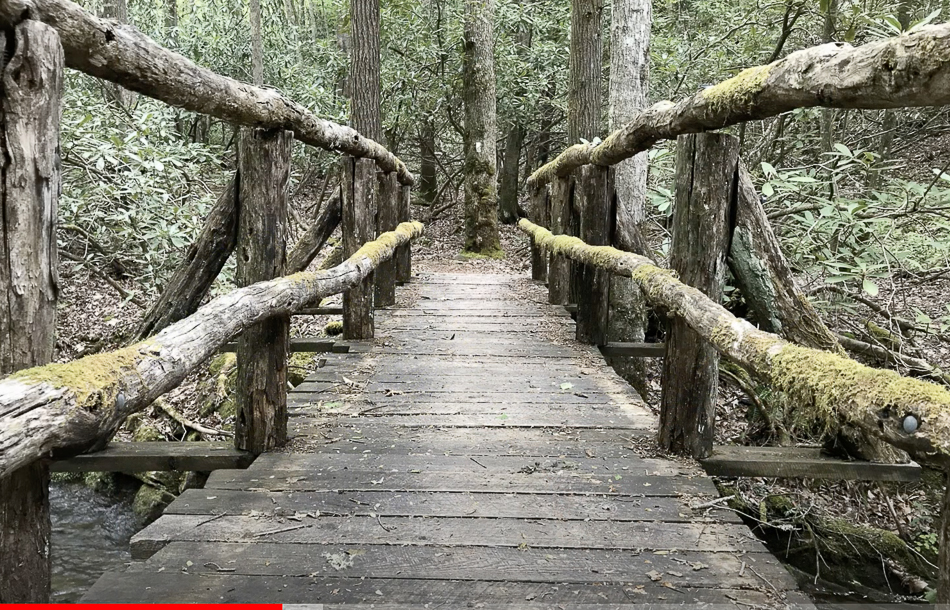 Screen Shot 2021-03-14 at 3.40.22 PM