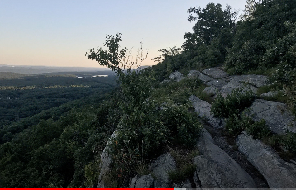 Screen Shot 2021-03-14 at 3.43.18 PM