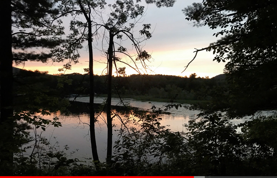 Screen Shot 2021-03-14 at 3.44.18 PM