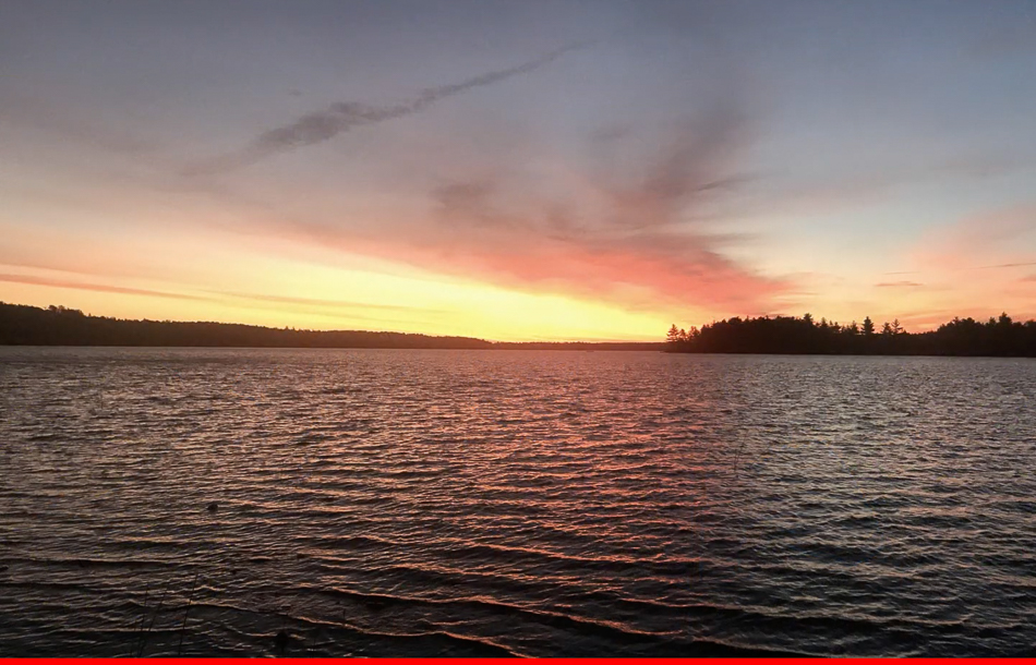 Screen Shot 2021-03-14 at 3.48.27 PM