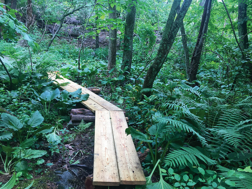 Forbes land NewBoardwalk 1