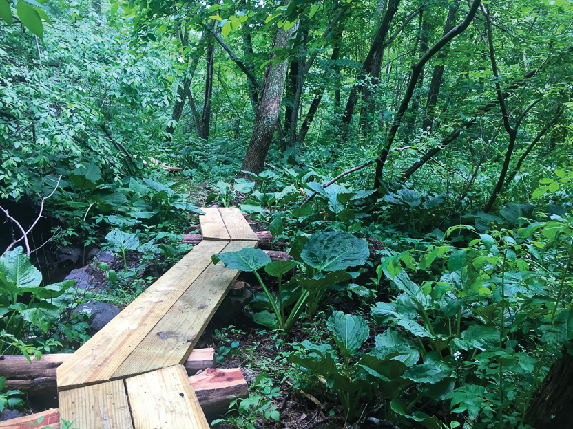 Forbes land New Boardwalk 2