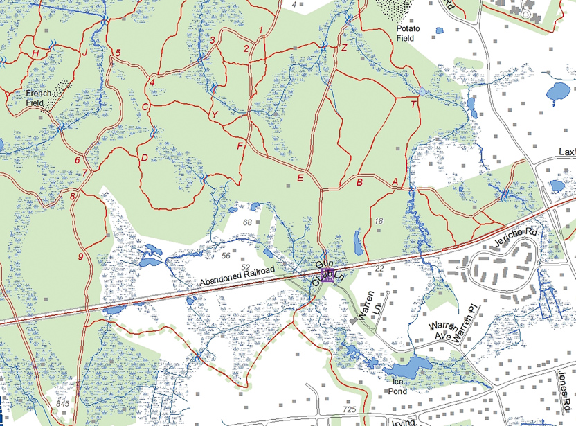 feb 2014 walk gun club lane