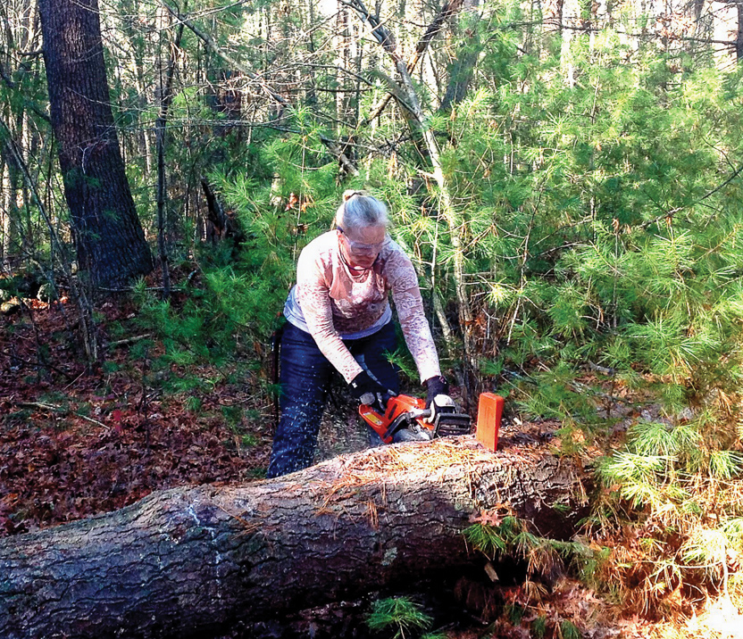 lynn 3 (2018_05_21 17_02_17 UTC)