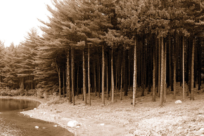 WWWater_MSRA reservoir1