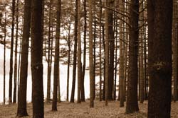 WWWater_MSRA reservoir2