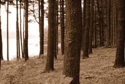 WWWater_MSRA reservoir3