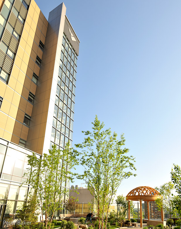 gazeebo and building